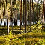 Tunturitervakko By Interhome