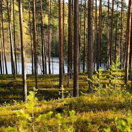 Tunturitervakko By Interhome Holiday home