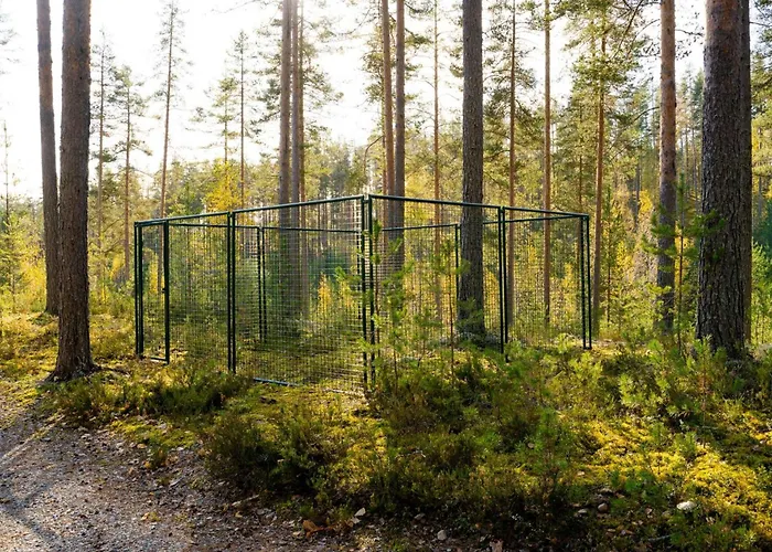 Tunturitervakko By Interhome Tatil Evi *