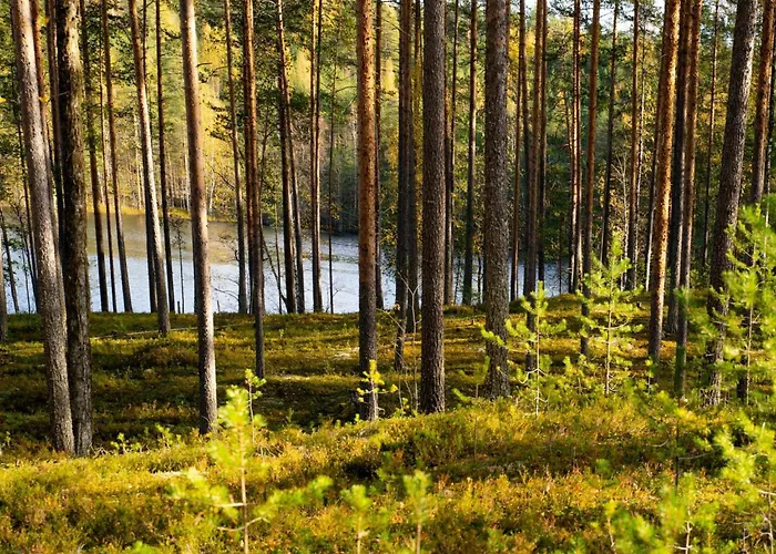 Tunturitervakko By Interhome